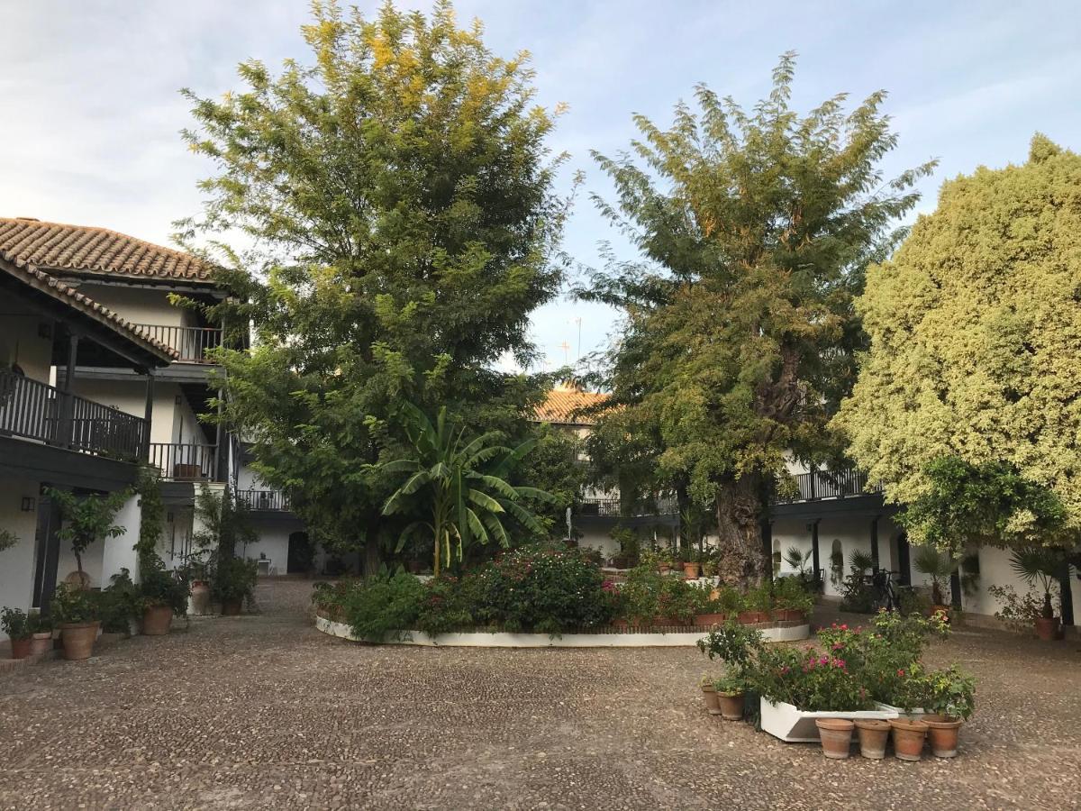 S27 Corral Del Siglo XVI Lejlighed Sevilla Eksteriør billede